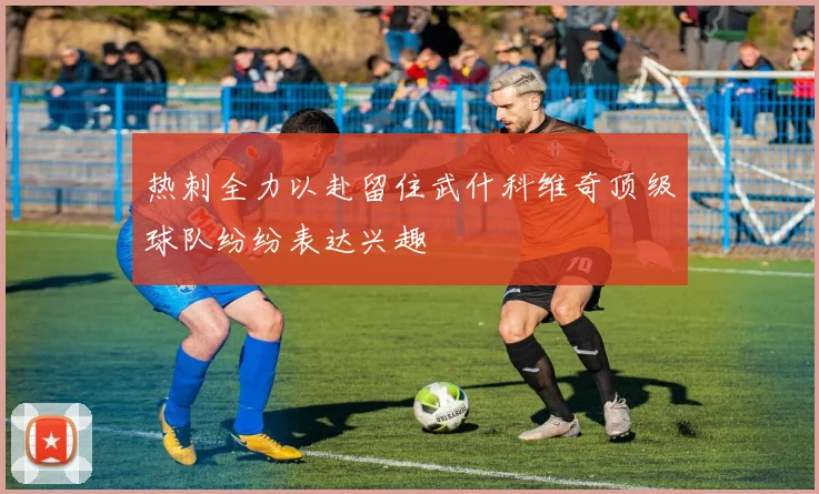 热刺全力以赴留住武什科维奇顶级球队纷纷表达兴趣