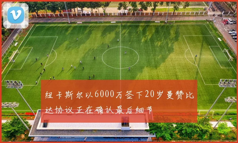 纽卡斯尔以6000万签下20岁曼赞比达协议正在确认最后细节